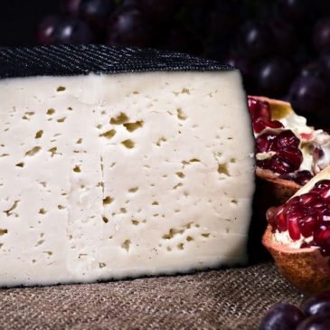 Cured sheep cheese strengthens the immune system